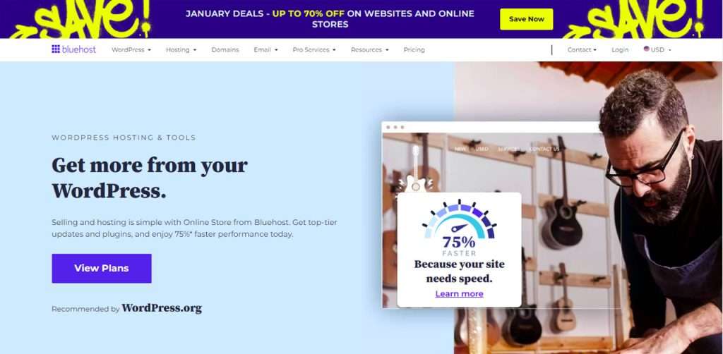 Blue Host webpage